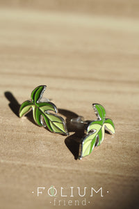 Philodendron Florida Ghost Ear Studs