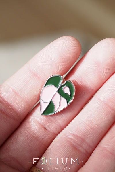 Philodendron Pink Princess Ear Studs