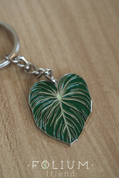 Philodendron Pastazanum Pin/Keyring