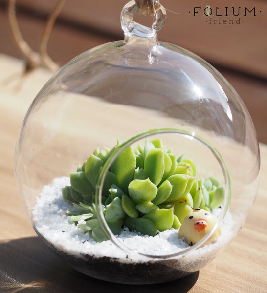 Glass dome Friend - Made to Order